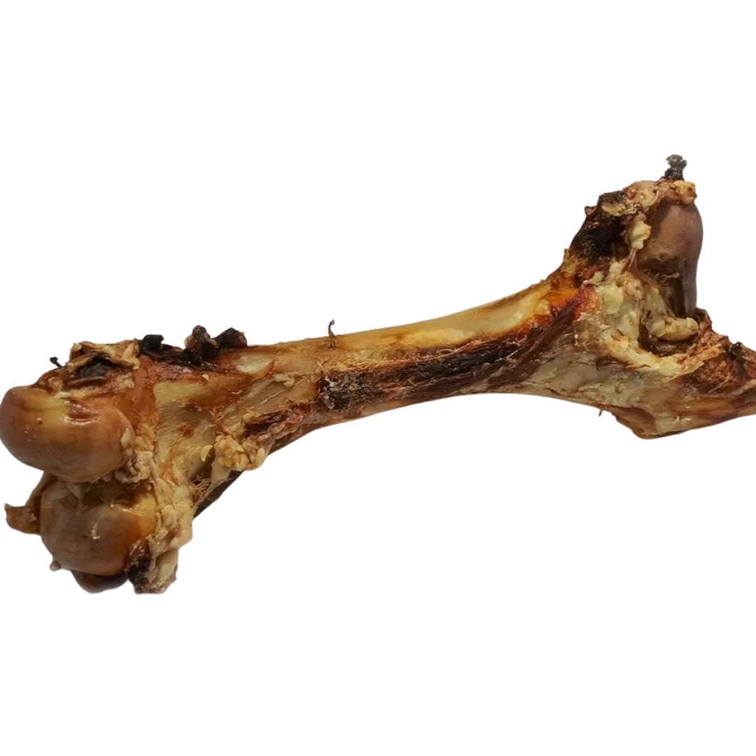 Swedish Beef Bone Giant (40-60cm)