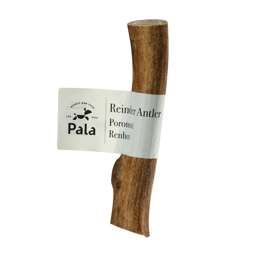 Antler dog chew