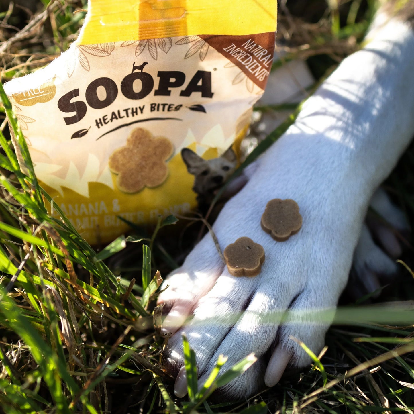 Dog Treats | Banana and Peanut Butter (50g, 50 pieces)