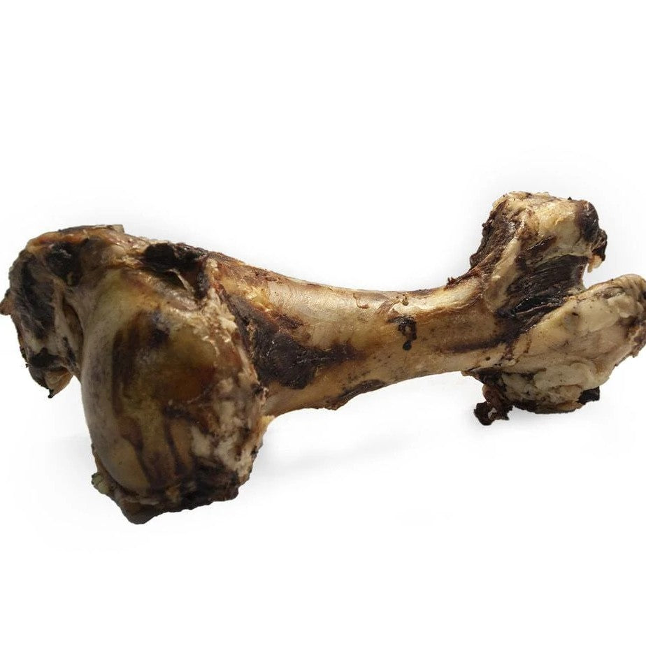 Swedish ox bone Pluto (30-40cm)