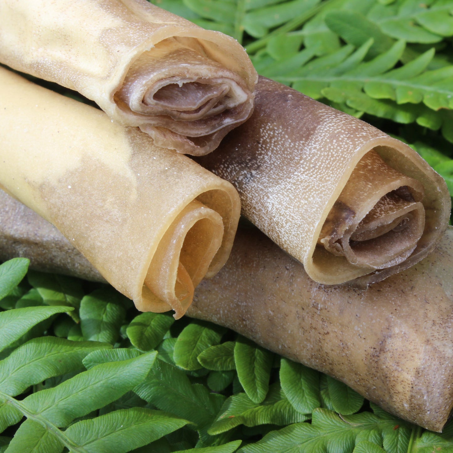 Fallow deer roll 15cm
