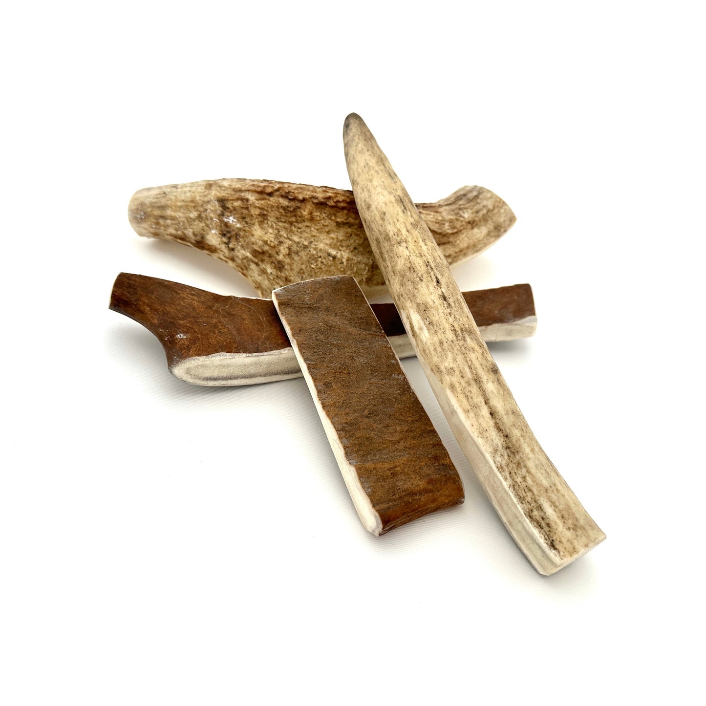Swedish moose antlers