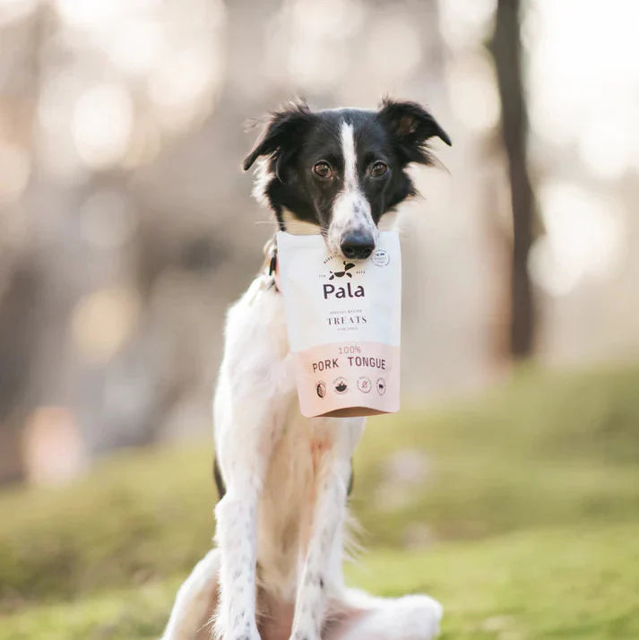 100% Pig Tongue Dog Treats (100g)
