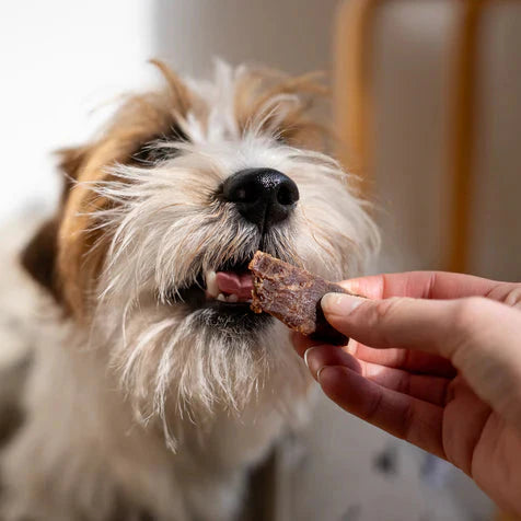 Dog treats made from 100% pork spleen (100g)