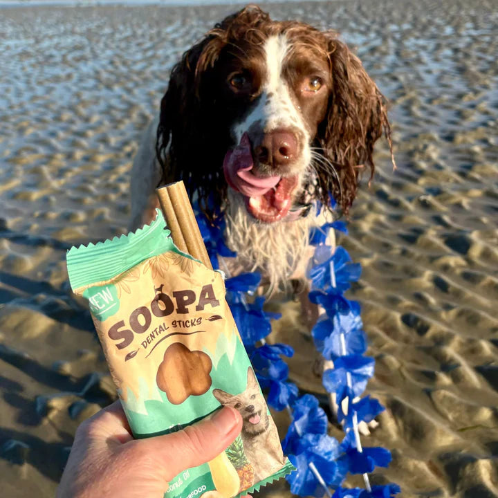 Chew sticks | Paw-Na Colada - Coconut & Pineapple (4-pack)