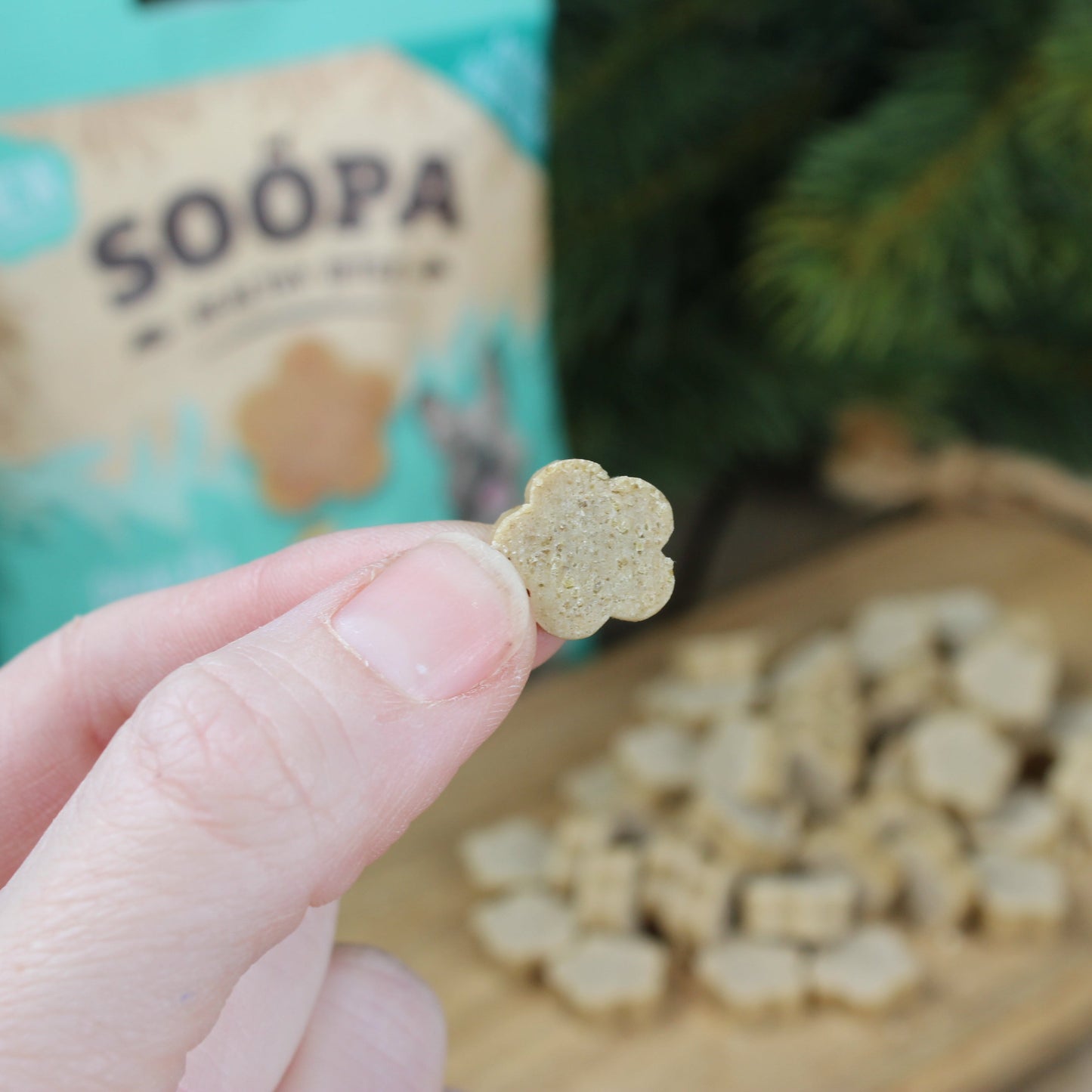 Dog Treats | Paw-Na Colada, Coconut and Pineapple (50g, 50 pieces)