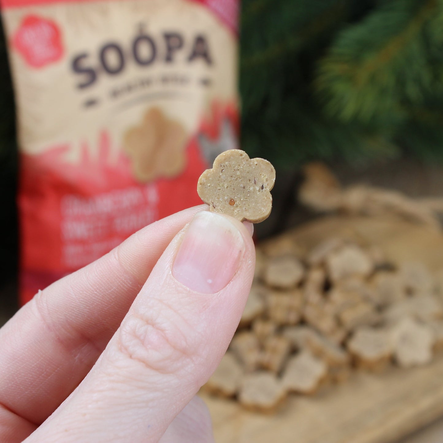 Dog treats | Cranberry and sweet potato (50g, 50 pieces)