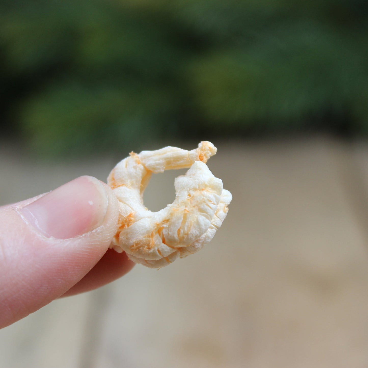 Freeze-dried arctic shrimp (60g)