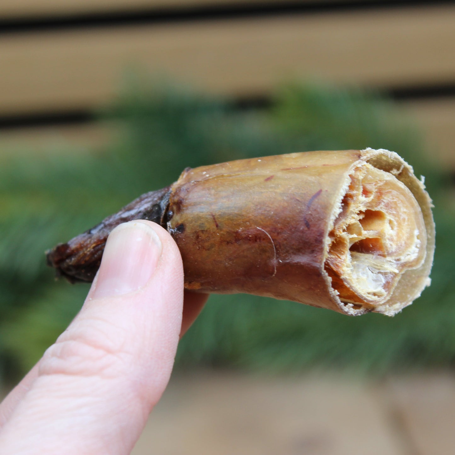 Swedish bull pizzle waste
