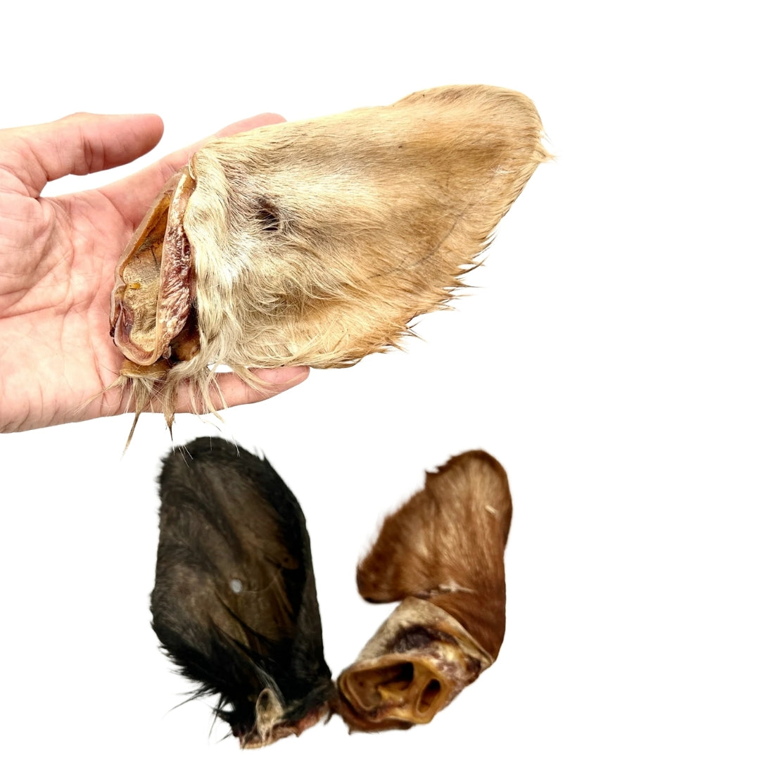 Swedish hairy cow ear
