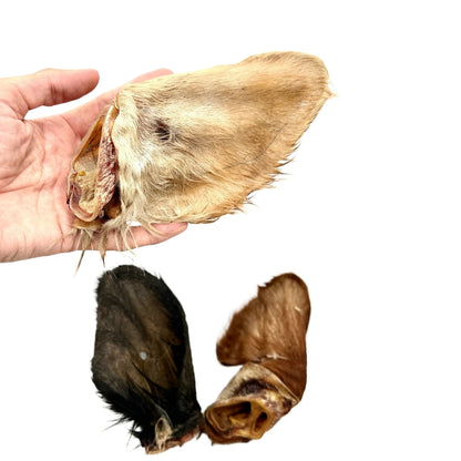 Swedish hairy cow ear