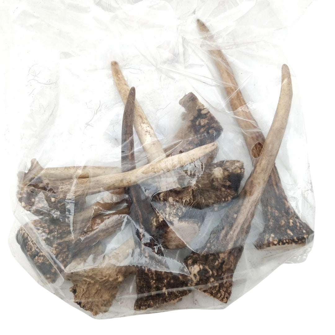 Antler tips (500g, 6-12pcs)