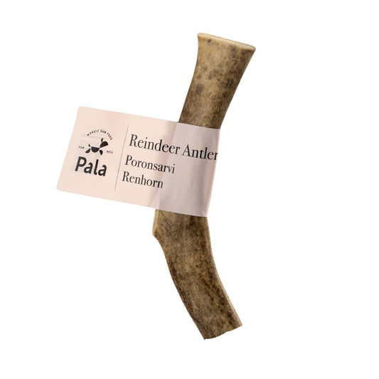 Antler dog chew