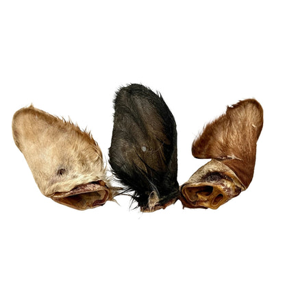 Swedish hairy cow ear