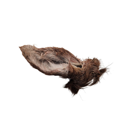 Swedish deer ear with fur