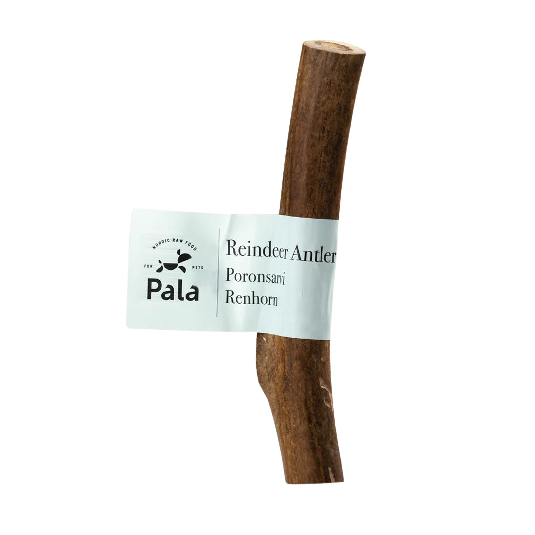 Antler dog chew