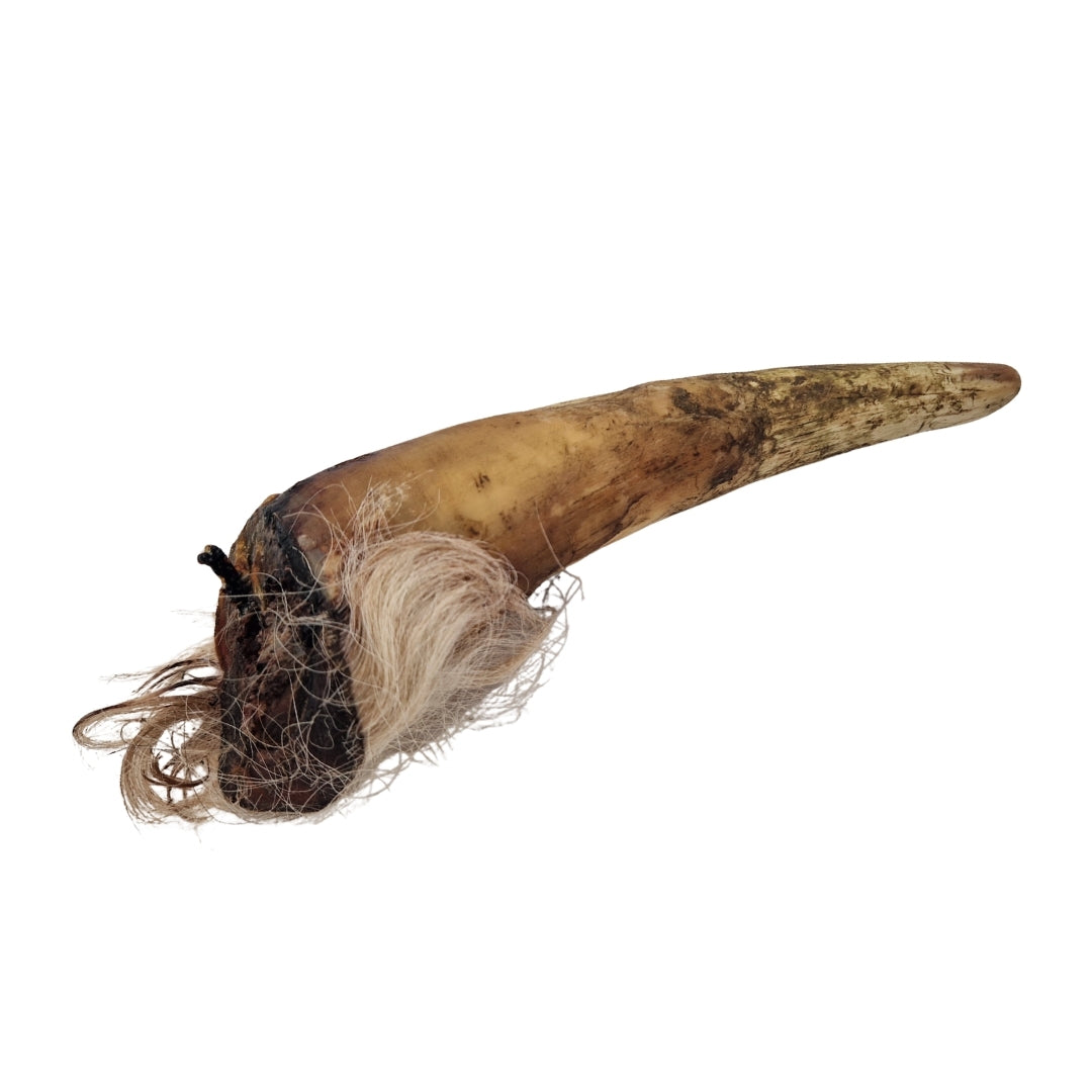 Swedish ox horn with fur