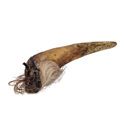 Swedish ox horn with fur