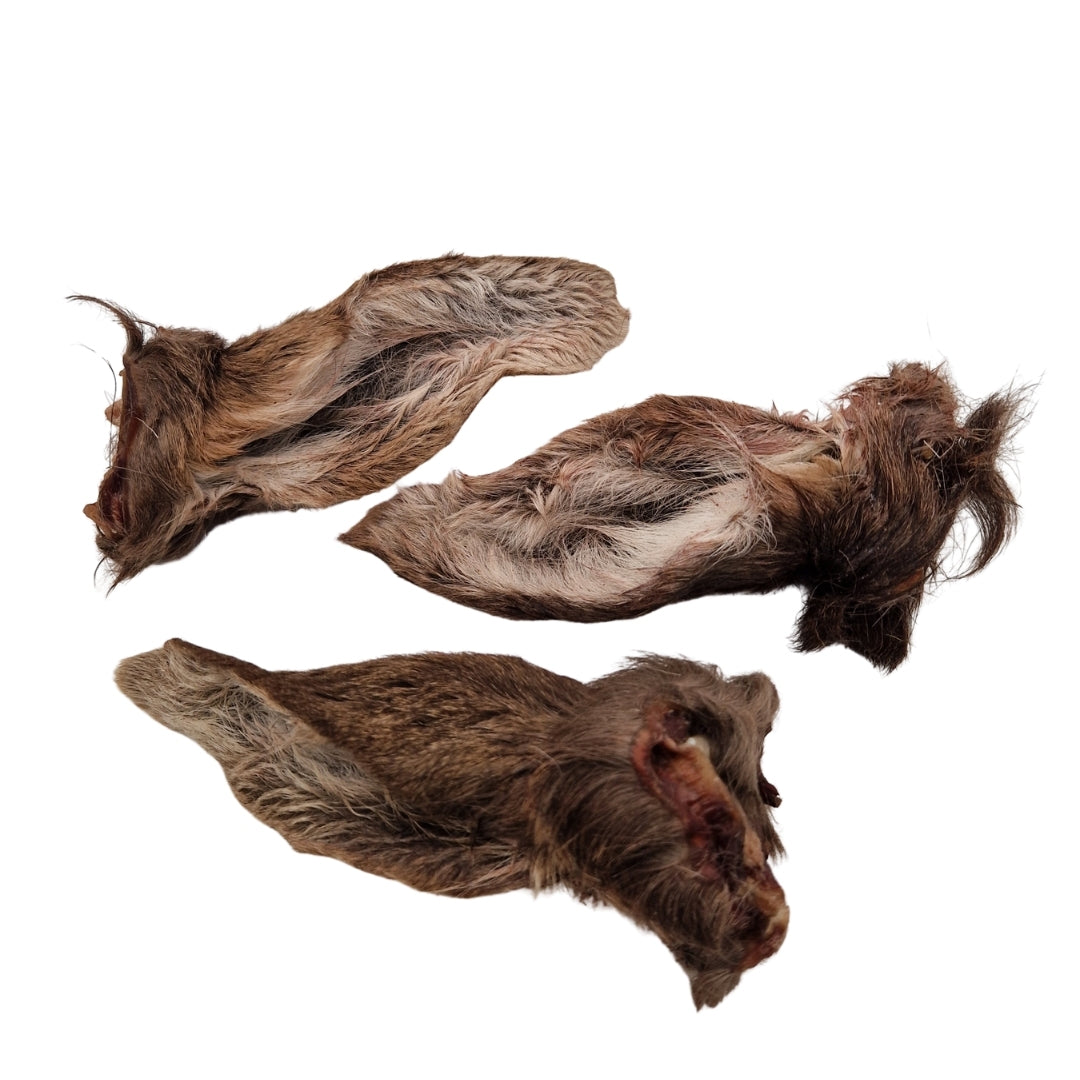 Swedish deer ear with fur