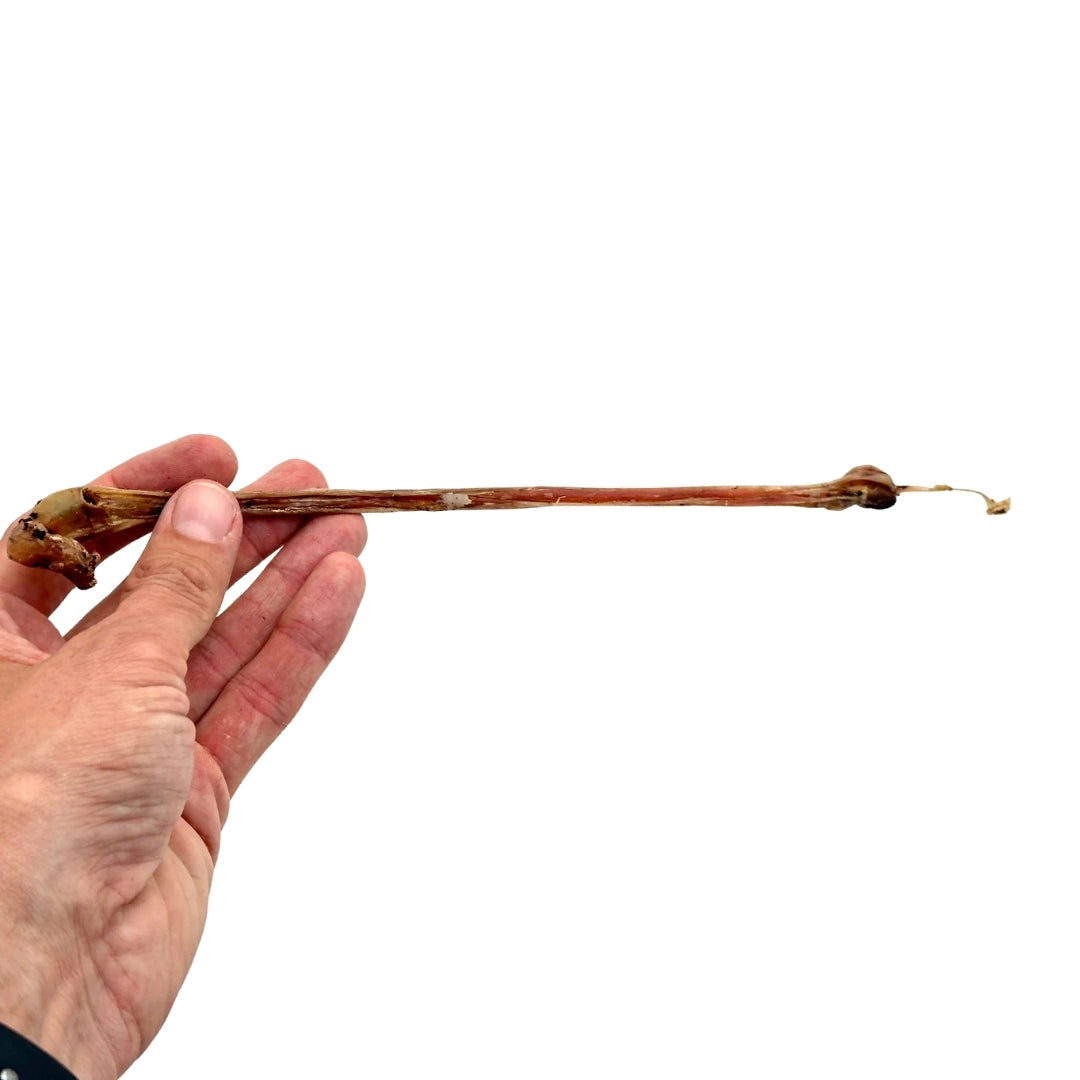 Swedish lamb muscle