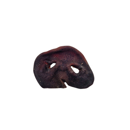 Swedish pig's snout