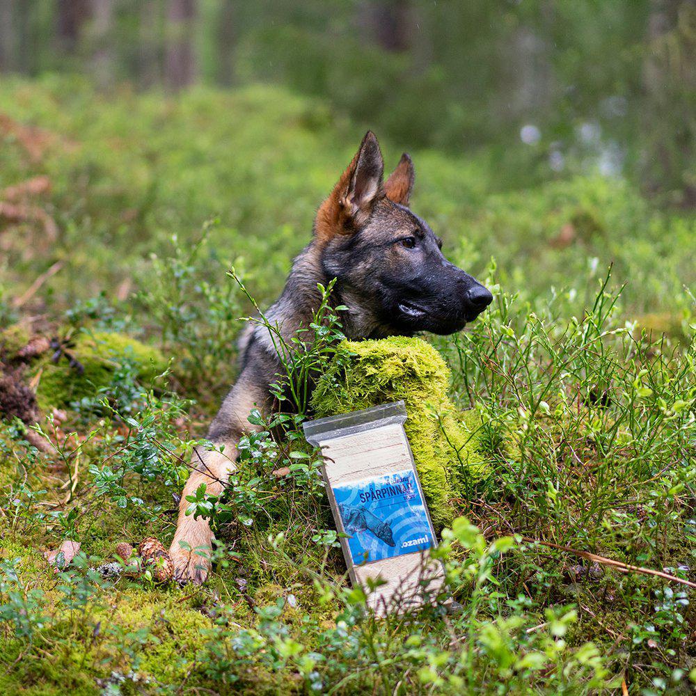 Spårpinnar trä