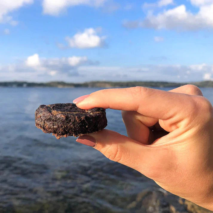 Swedish moose biscuits (80g)