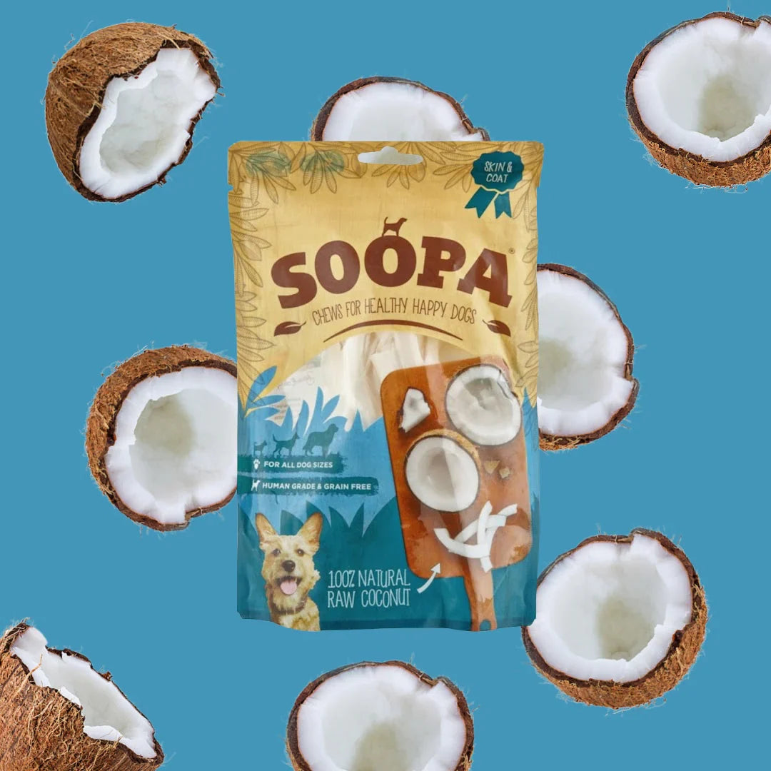 Dried Coconut Chew (100g)