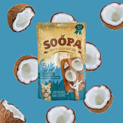 Dried Coconut Chew (100g)
