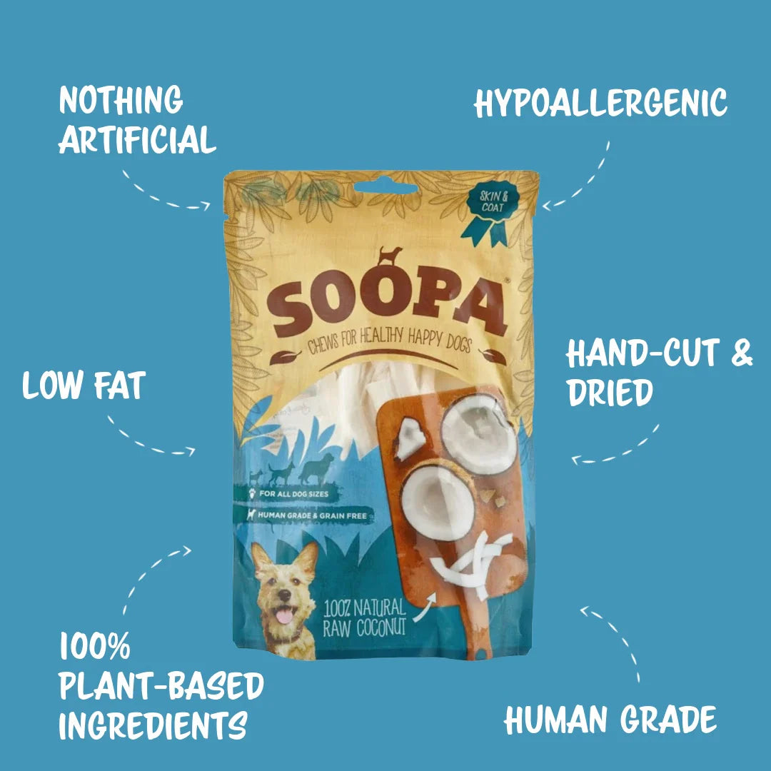 Dried Coconut Chew (100g)