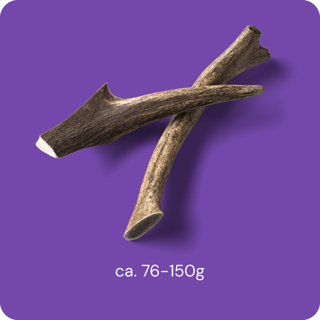 RAUH! - Deer Antler