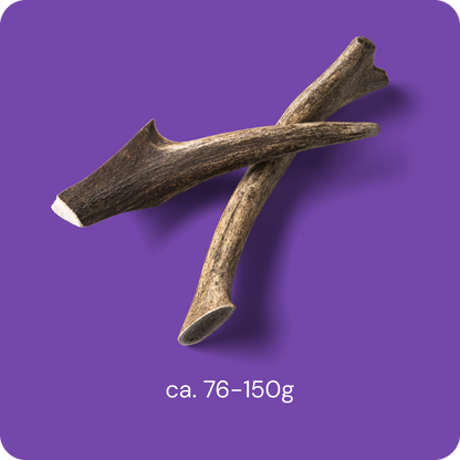 RAUH! - Deer Antler