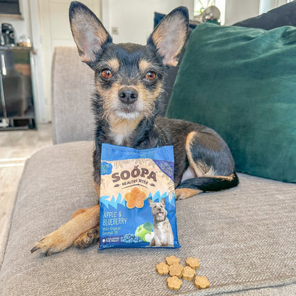 Dog Treats | Apple & Blueberry (50g, 50 pieces)