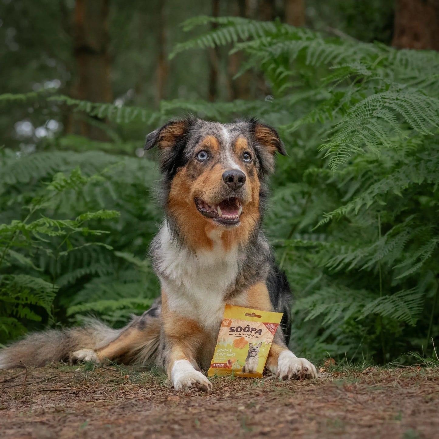 Dog Treats | Banana and Peanut Butter (50g, 50 pieces)