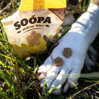 Dog Treats | Banana and Peanut Butter (50g, 50 pieces)