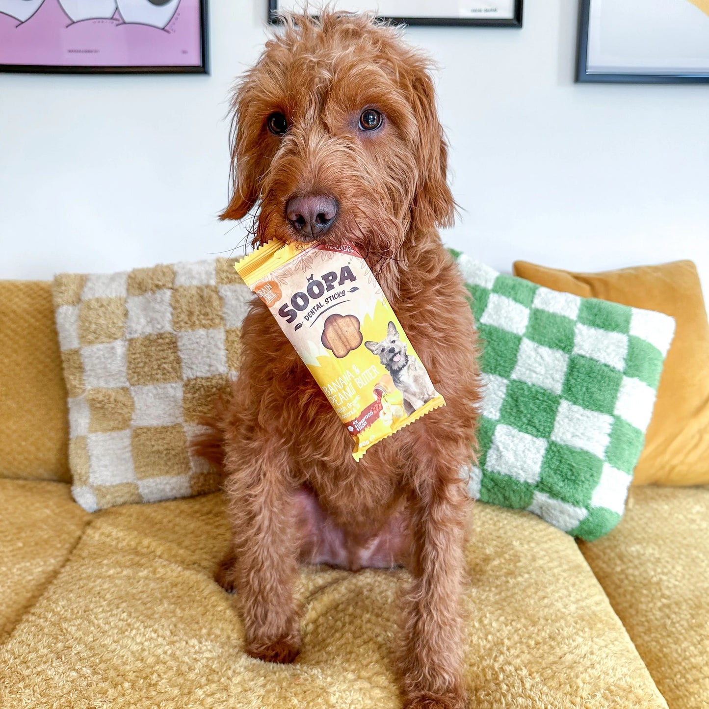 Chew Sticks | Banana & Peanut Butter (4-pack)