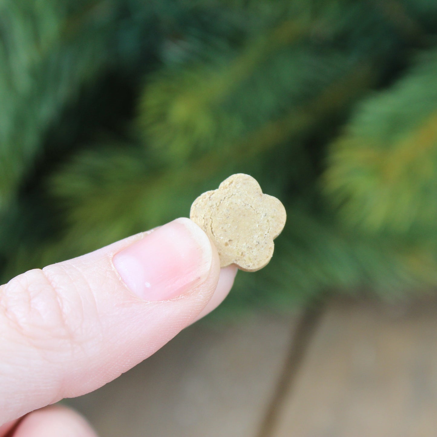 Dog treats PUPPY | Banana and Pumpkin (50g, 50 pieces)