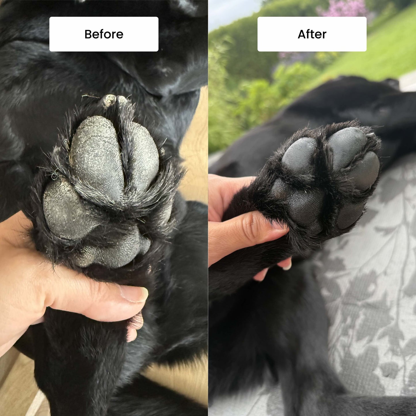Paw Protect Balm 2-pack - For Dry Paws and Noses