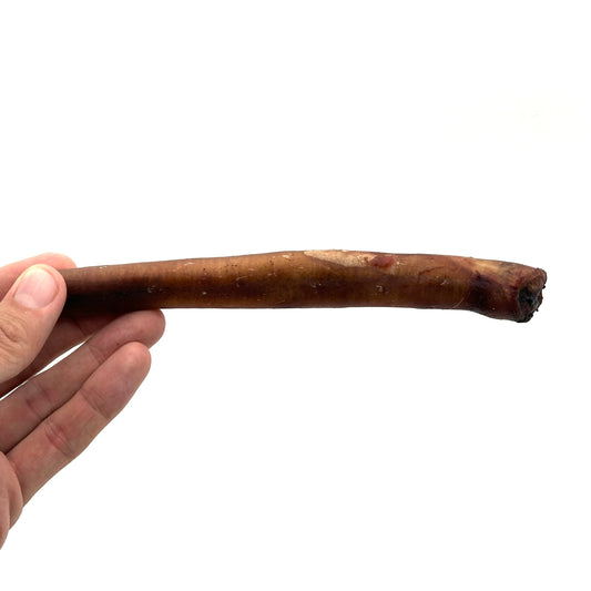 Swedish bull pizzle 20cm