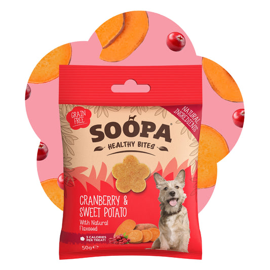 Dog treats | Cranberry and sweet potato (50g, 50 pieces)