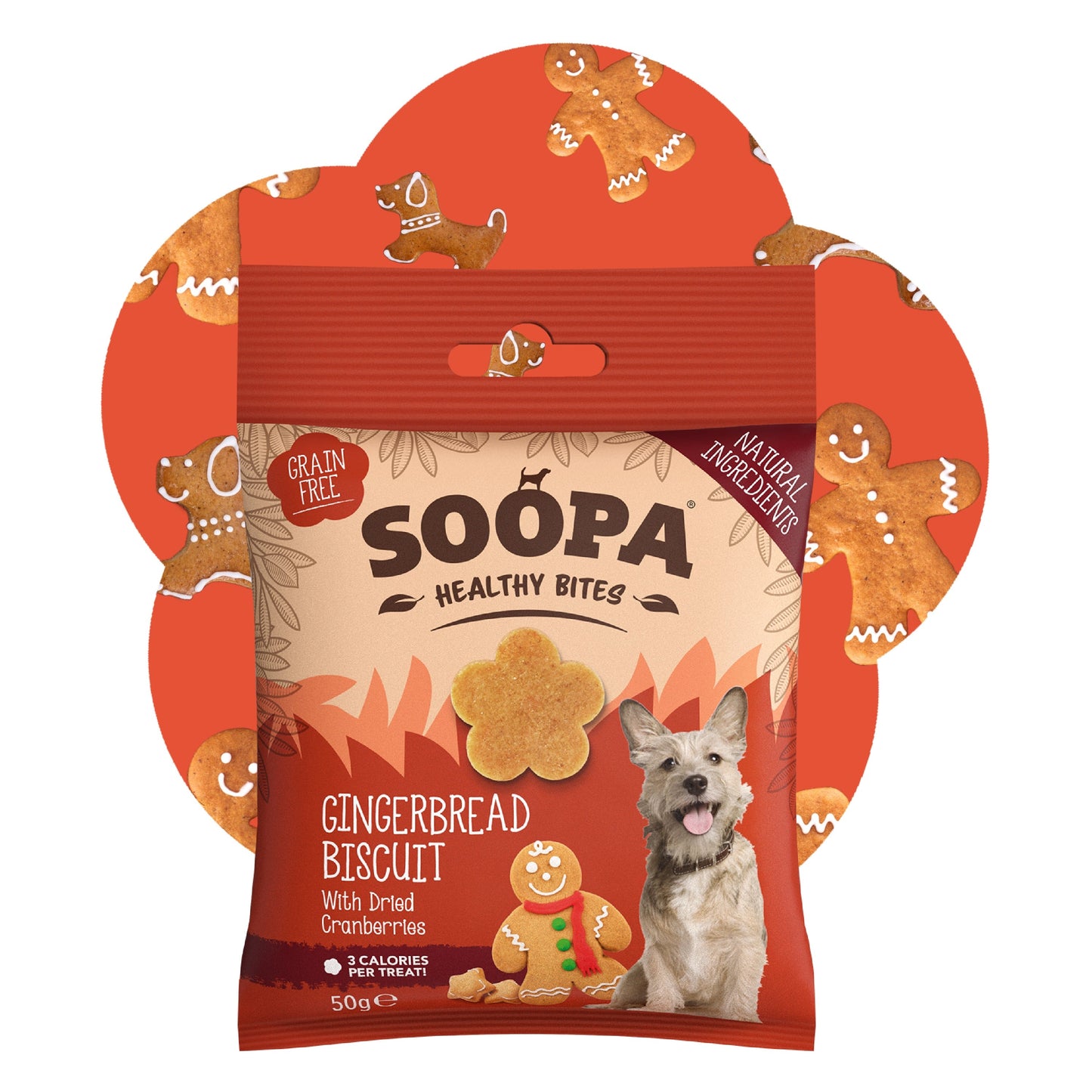 Dog Treats | Gingerbread Biscuit, Ginger and Cranberry (50g, 50 pieces)