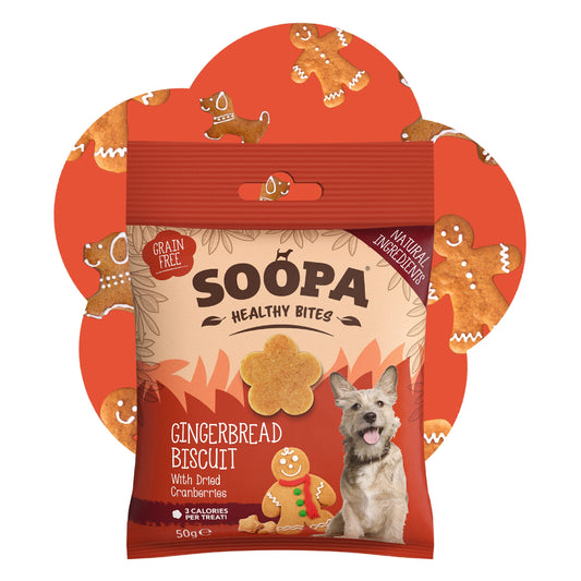 Dog Treats | Gingerbread Biscuit, Ginger and Cranberry (50g, 50 pieces)