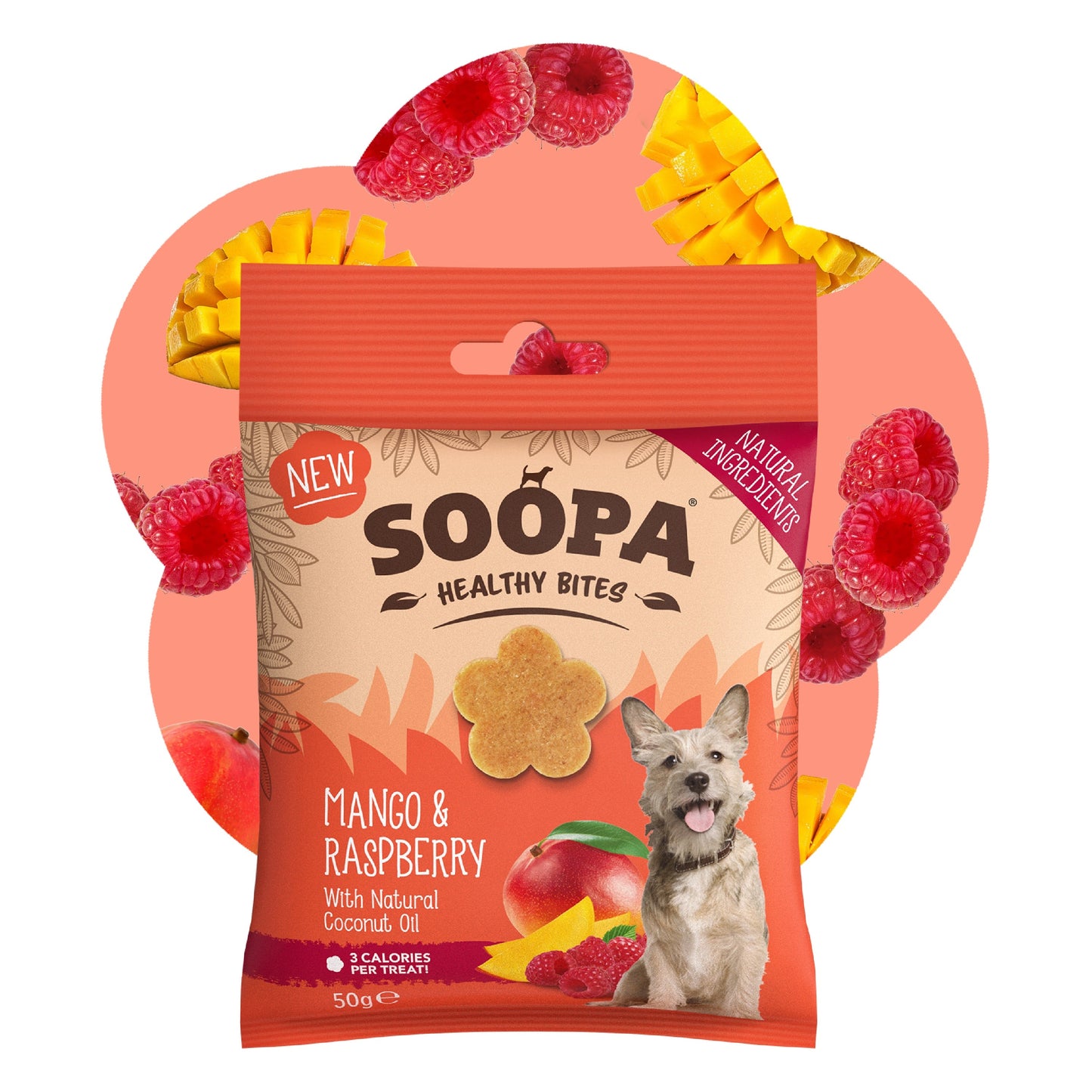 Dog Treats | Mango & Raspberry (50g, 50 pieces)