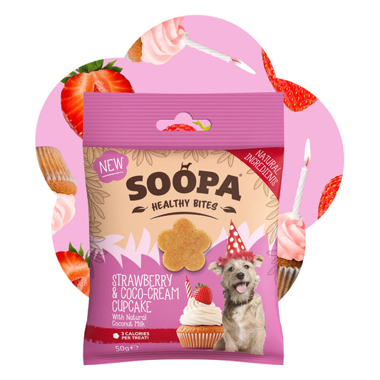Dog Treats | Strawberry & Coconut Cream (50g, 50 pieces)