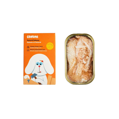 Salmon for dogs