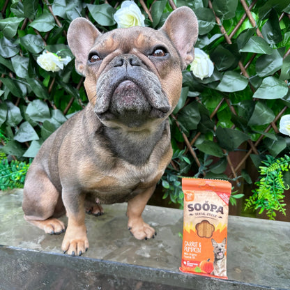 Chew Sticks | Carrot & Pumpkin (4-pack)