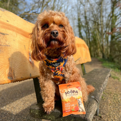 Dog treats | Pumpkin Spiced Latte, Pumpkin and Cinnamon (50g, 50 pieces)