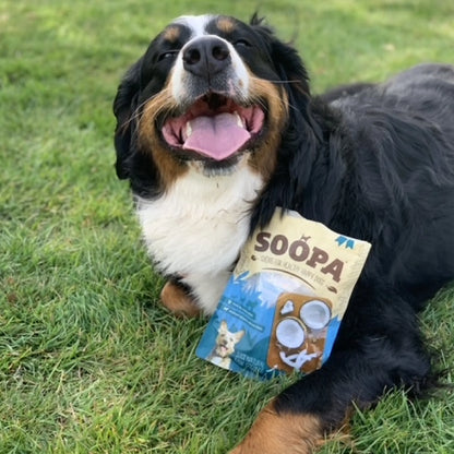 Dried Coconut Chew (100g)