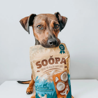 Dried Coconut Chew (100g)