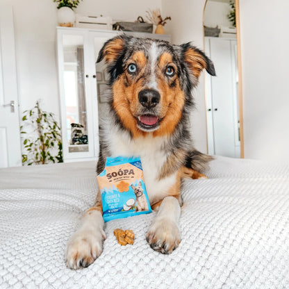 Dog Treats | Coconut & Chia Seeds (50g, 50 pieces)